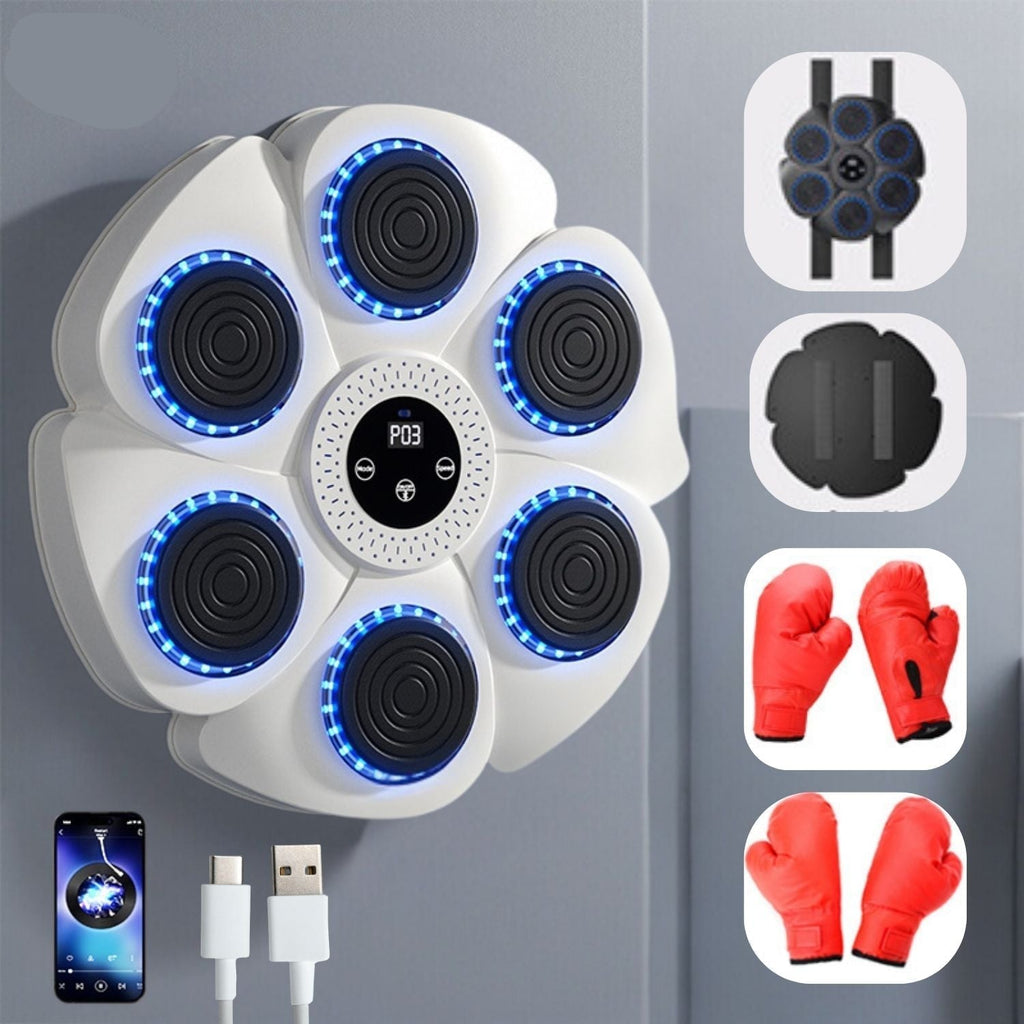 PunchTech Macchina per Boxe Interattiva