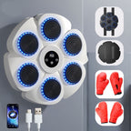 PunchTech Macchina per Boxe Interattiva
