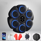 PunchTech Macchina per Boxe Interattiva