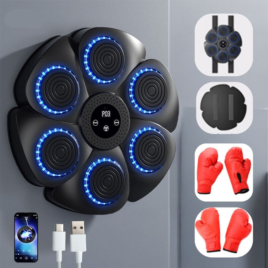 PunchTech Macchina per Boxe Interattiva
