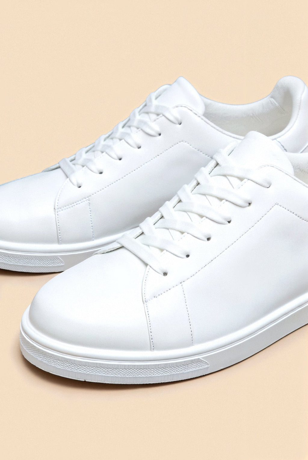 Sneakers Timeless ANFINITE