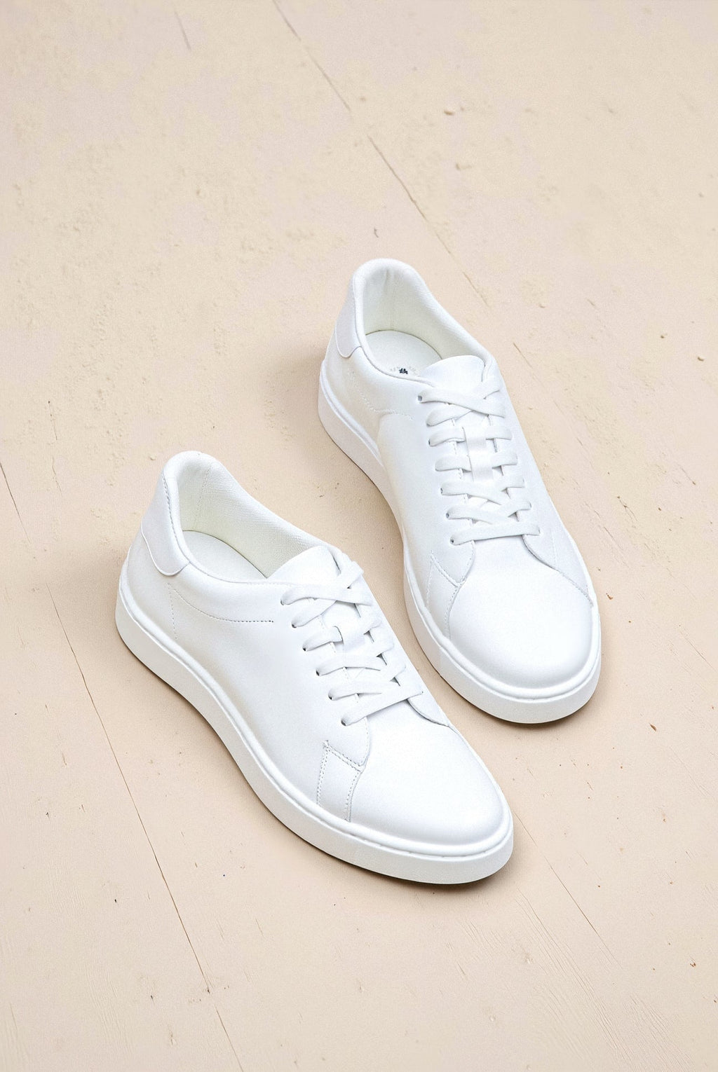 Sneakers Timeless ANFINITE