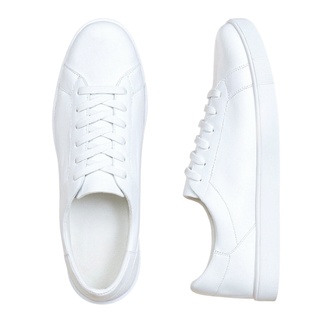 Sneakers Timeless ANFINITE