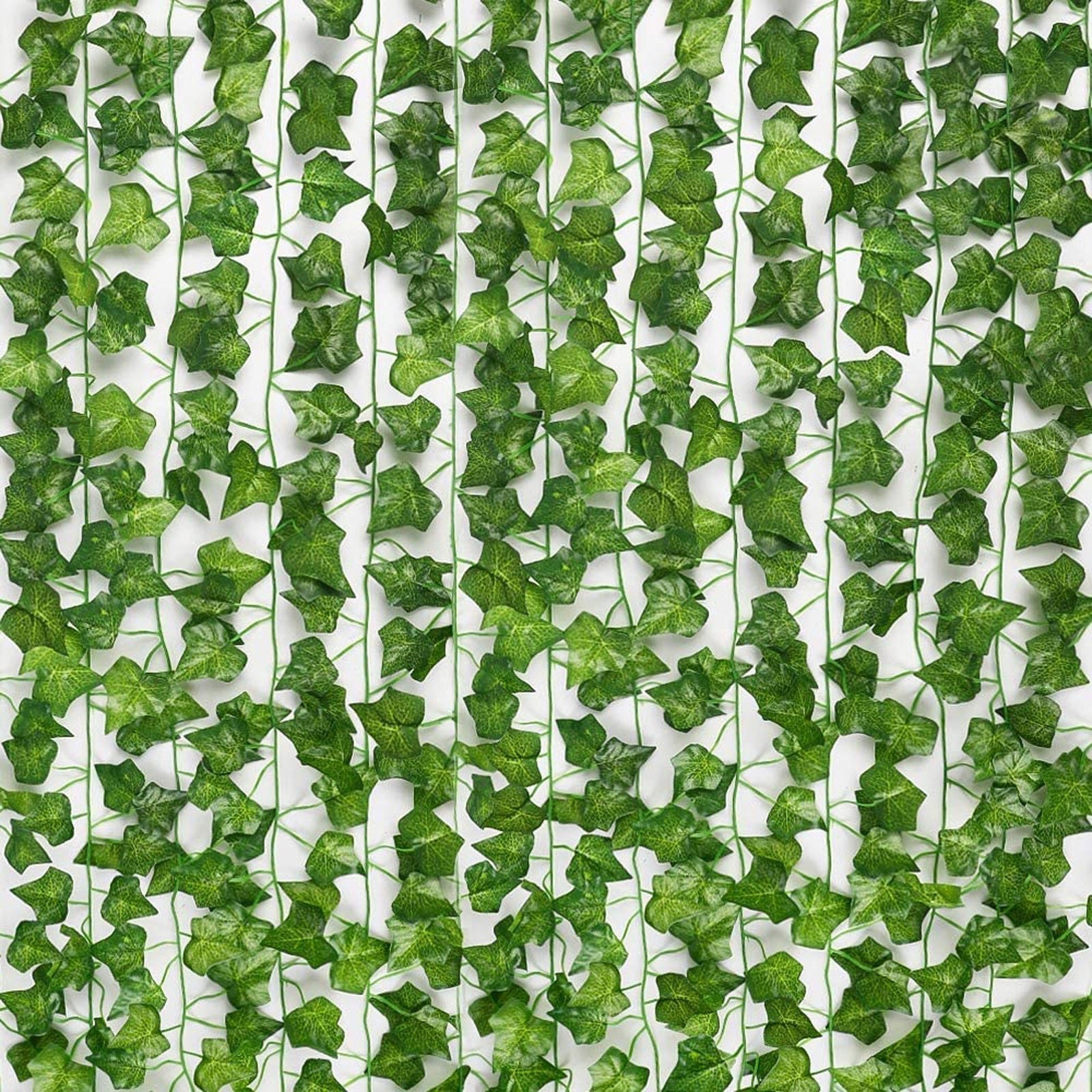 Evergreen | Tieni le tue foglie vivaci e verdi tutto l'anno!