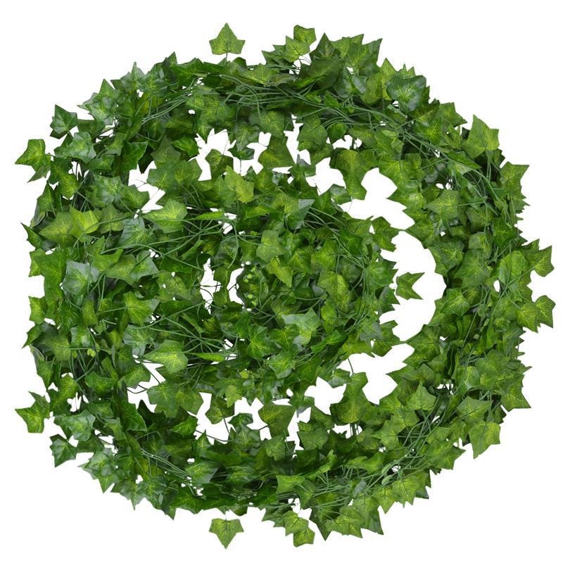 Evergreen | Tieni le tue foglie vivaci e verdi tutto l'anno!
