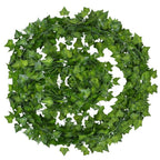 Evergreen | Tieni le tue foglie vivaci e verdi tutto l'anno!