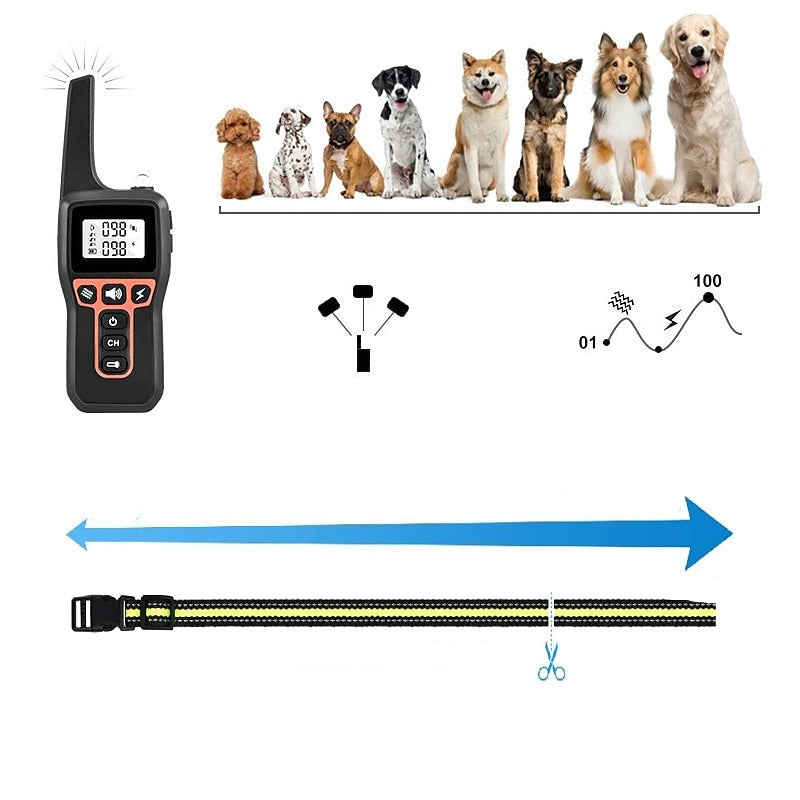 AquaStride Pro – Collare per Addestramento per Cani Ricaricabile e Impermeabile da 1000m con Telecomando a Lunga Distanza