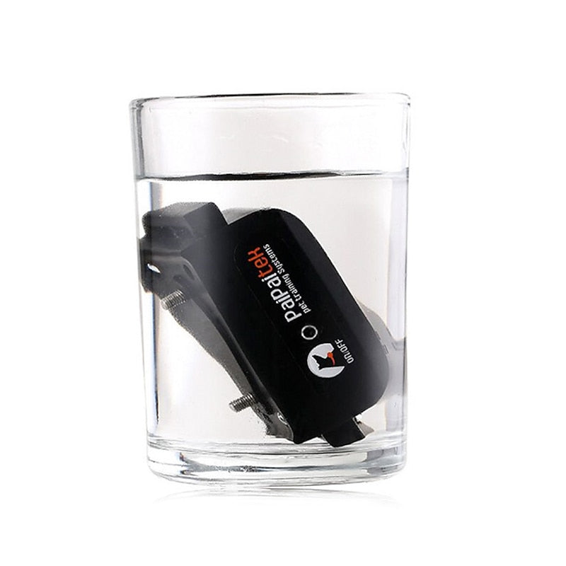 AquaStride Pro – 1000m Vandtæt Genopladelig Hundetræningskrave med Langdistance Fjernbetjening