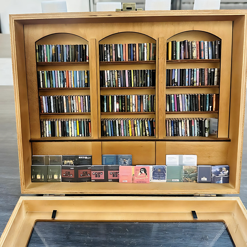ANFINITE AnxietyBookshelf Håndlavet Miniature Bogreol i Træ