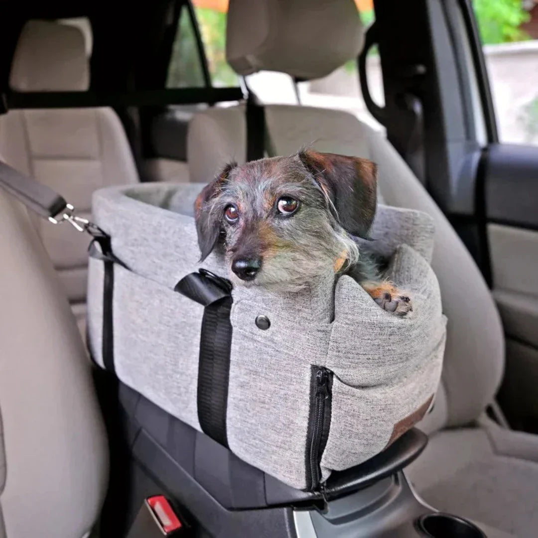 Seggiolino Auto per Animali PawVoyage ANFINITE