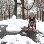 Stivali da Neve per Cani - SnowPaws