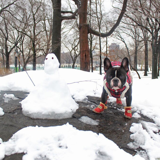 Stivali da Neve per Cani - SnowPaws