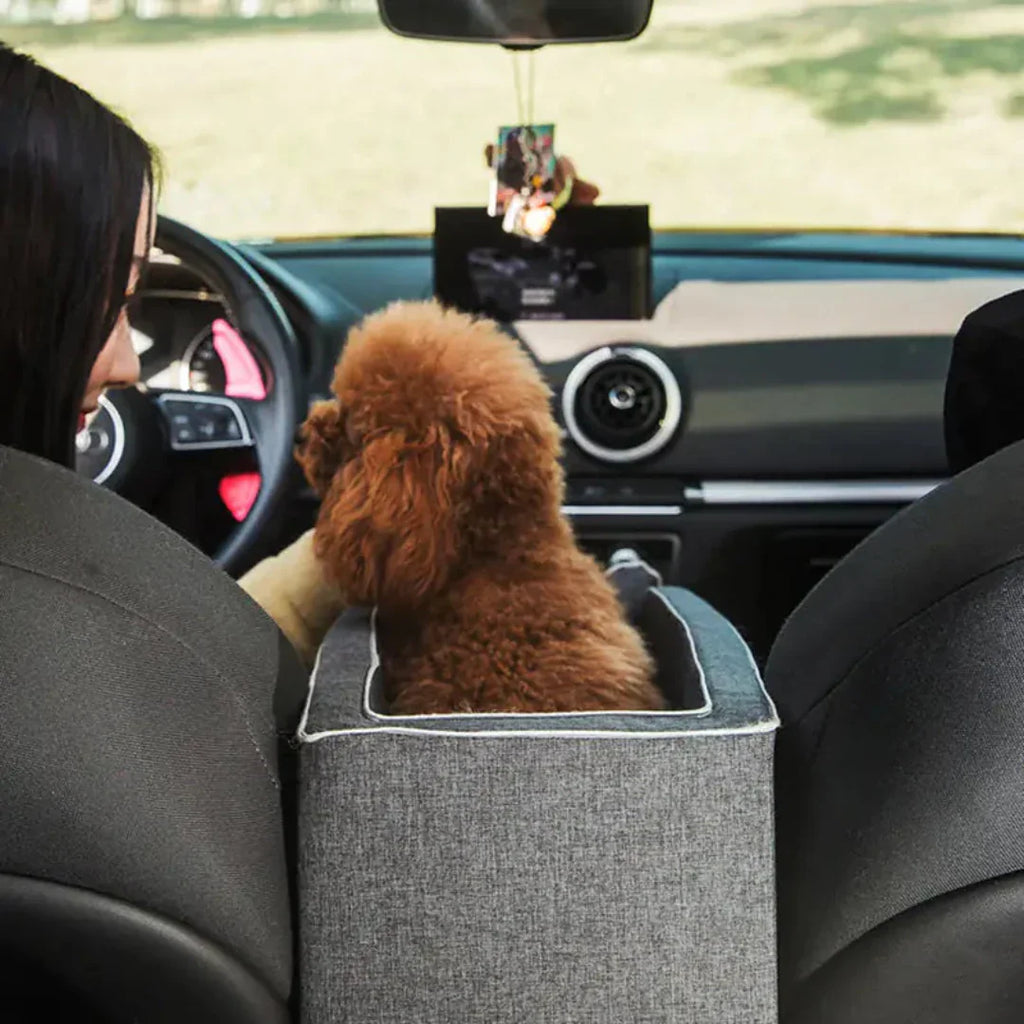 Seggiolino Auto per Animali PawVoyage ANFINITE